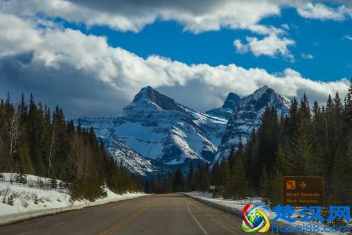 美国签证加急预约怎么办理(美国签证加急预约需要几天)