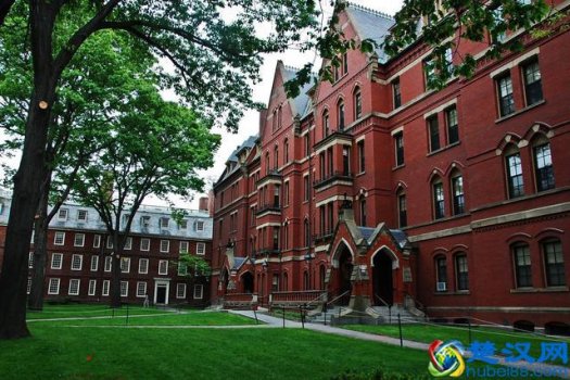 美国心理学硕士申请难度大不大(美国心理学硕士申请条件)