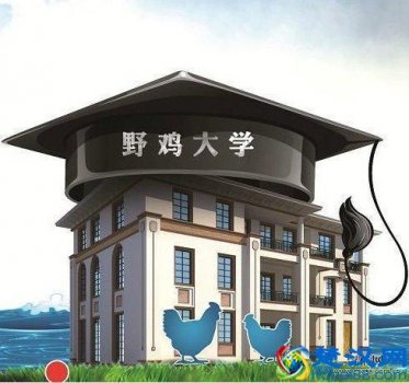 什么是野鸡大学(野鸡大学是做什么的)