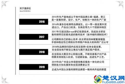  专业舞台电钢琴什么牌子好（解析钢琴与电钢琴的区别）