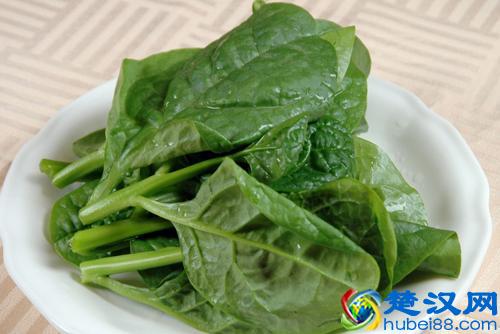  木耳是什么树上长出来的（木耳的10种家常做法）