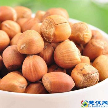  榛子是什么树上的果实（炒榛子的方法和步骤）