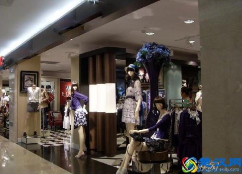  有什么代理品牌（女装品牌怎么代理）