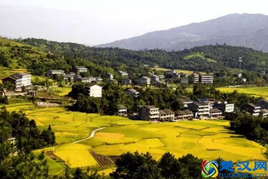  大学毕业回老家做什么（大学毕业去一线还是回老家）