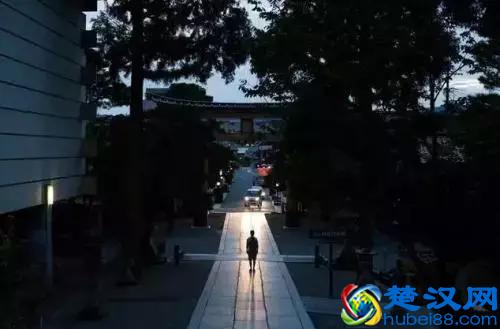  人生第一课灌输是什么道理（你真的读懂了人生第一课吗）