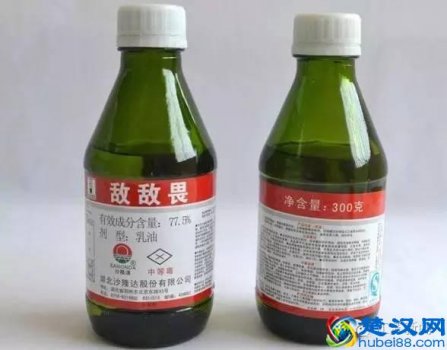  头发上长虱子怕什么味道（用这4个方法，可以不用把头发剪掉）