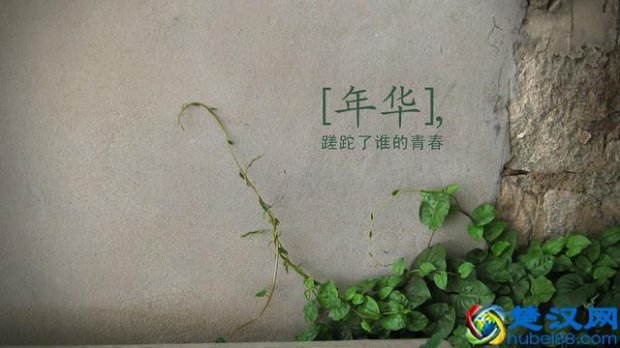  荏苒的意思（蹉跎了谁的年华）