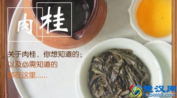  肉桂是什么（关于肉桂你知道多少）