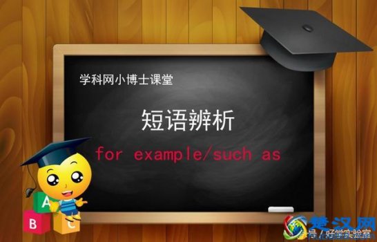  example中文是什么意思？