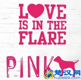  维密pink系列是什么意思（维密pink系列怎么呀）