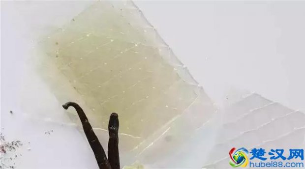 鱼胶粉是什么?鱼胶粉功效和作用有哪些?