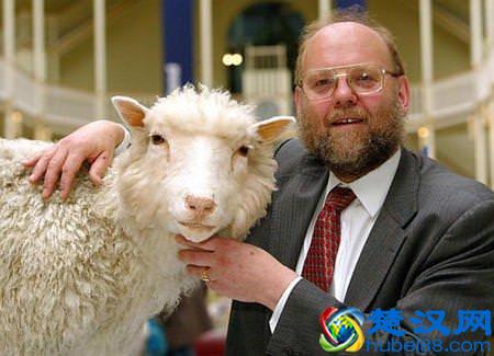 为什么不能克隆人类?科学家不敢公布的真相