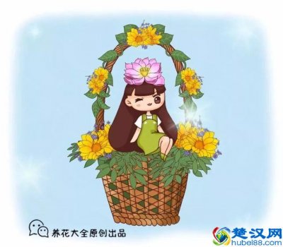  冬天12月开什么花？这几种花最适合12月份