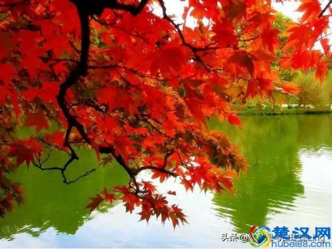  父爱如山是什么意思？他的肩膀承受了大山的重量