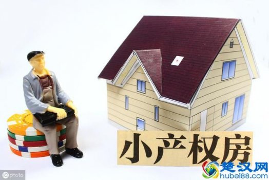  什么是小产权房（小产权房和大产权房有什么区别）