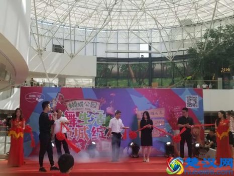  苏州吴江蝴蝶城政府接手了吗，吴江蝴蝶成烂尾怎么办