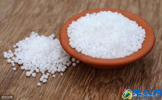  氮肥是什么肥料，复合肥和氮肥哪个好