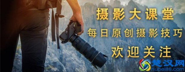  单反是什么意思（什么是单反相机）