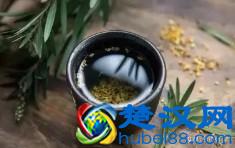  什么是国学（它的基本含义是什么）