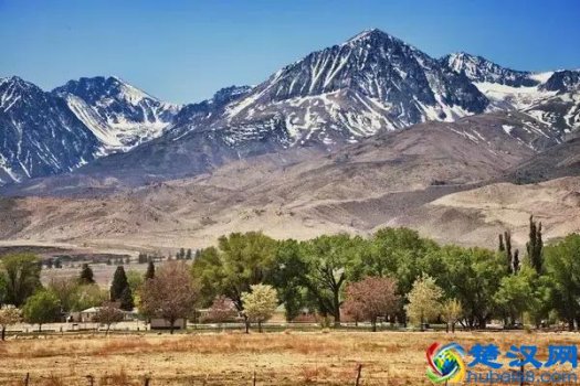 美国深泉学院有多难进(美国深泉学院怎么样)