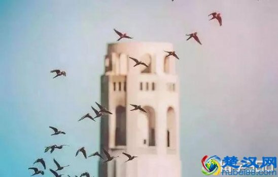 预科是什么(英国留学预科适合哪些人)