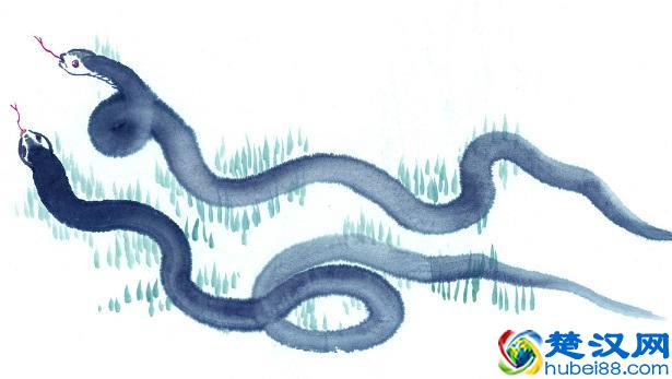  属蛇的和什么属相最配（属蛇的婚配大全）