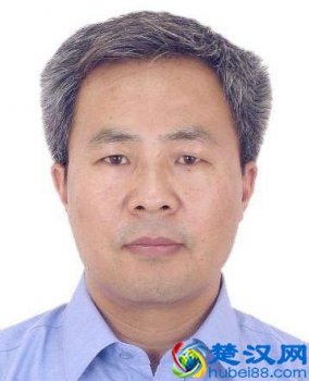  什么是仿生学（仿生学原理是什么）