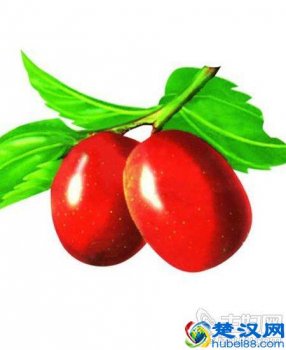  什么方法可以快速美白（全身美白的有效方法）