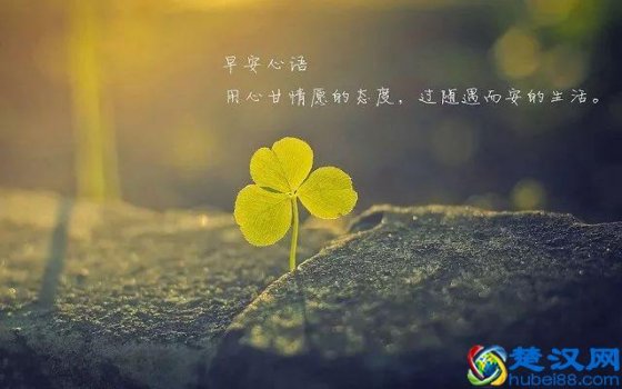  siri怎么用捷径合组织（siri无法运行捷径）