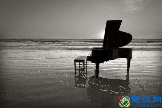  办一个音乐培训班需要什么手续（新手想开乐器班要做什么怎么准备）