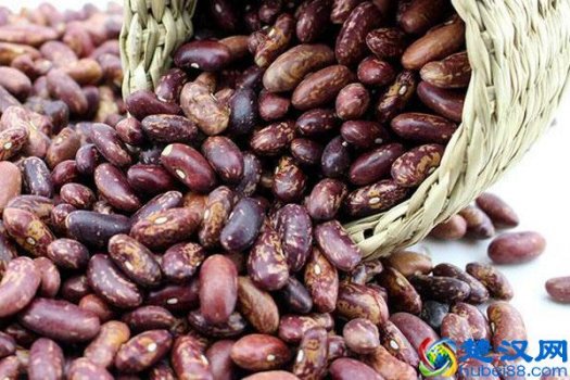  芸豆是什么（花豆和芸豆的区别）