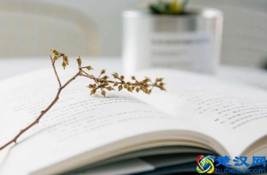  之子于归什么意思（之子于归，宜其室家）