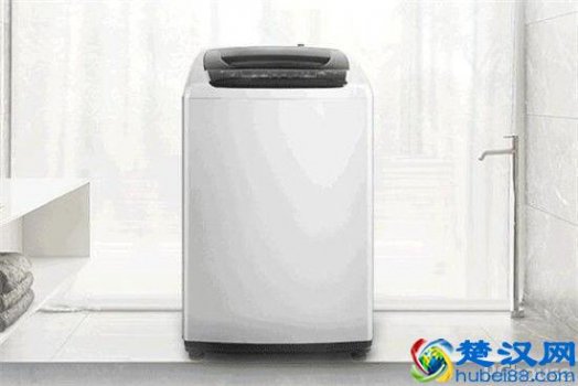  小天鹅洗衣机质量怎么样（小天鹅洗衣机价格介绍）