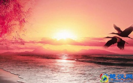  什么是诗词意象（为何说中国诗歌的核心是意境艺术？）