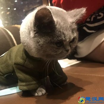  美白用什么产品好（5款真正美白的产品）