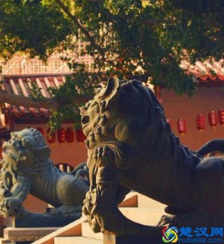  白岩松：这是你一生至少要去一次的城市