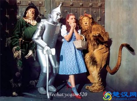  国际女鞋子有什么牌子（国际最高贵的鞋子有哪些品牌）