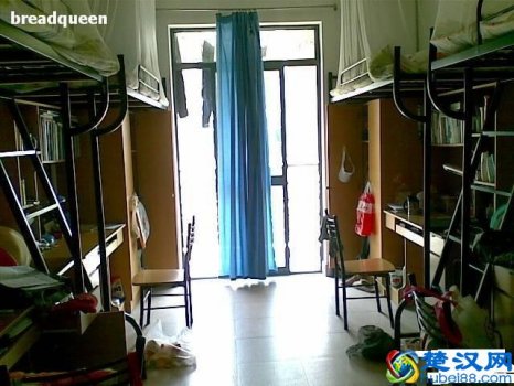  上海大学环境怎么样（上海大学学生宿舍好不好）