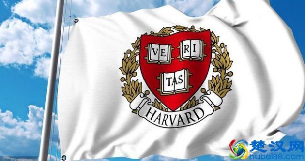  usnews世界大学排名2019（进入排名最多的国家是哪个）