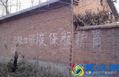  农村有什么创业机会（农村乡镇创业做什么好）