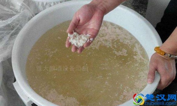  白酒用什么酿最好（夏季酿白酒要注意什么）