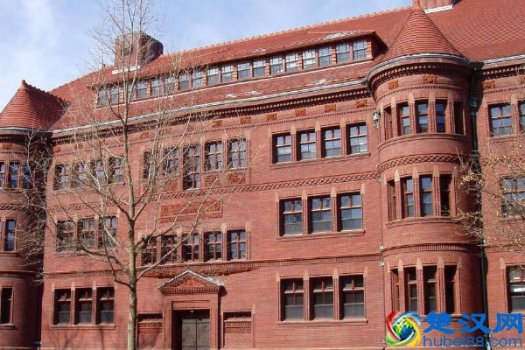  哈佛大学入学条件有哪些（哈佛大学入学条件介绍）