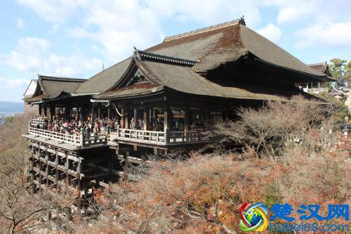  日本大阪大学教学怎么样（大阪大学有什么专业）