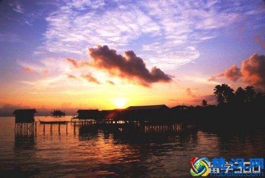  马来亚大学什么专业好（马来亚大学强势专业介绍）