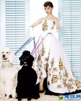  欧美是什么风格的衣服品牌（欧美服装品牌大全）