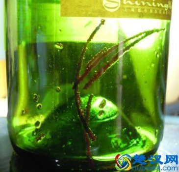  淘宝酒仙网怎么样（酒仙网的酒有假的吗）