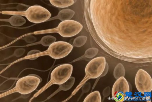  怀孕初期有哪些症状，需要注意些什么地方！