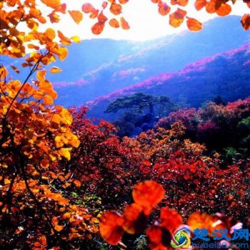  北京香山红叶什么时候红（香山赏红叶什么时候去最合适?）