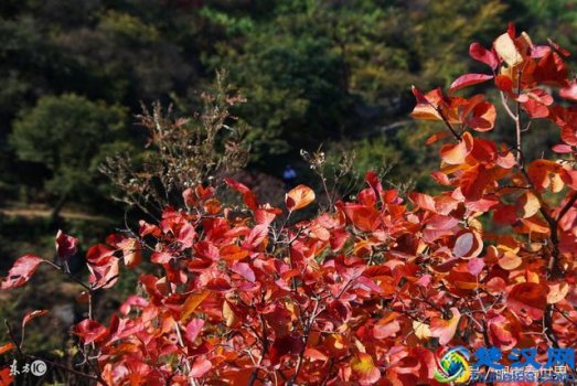  香山公园攻略有哪些，香山公园在哪里！