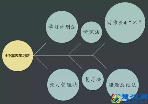  如何高效学习（6个高效学习方法）